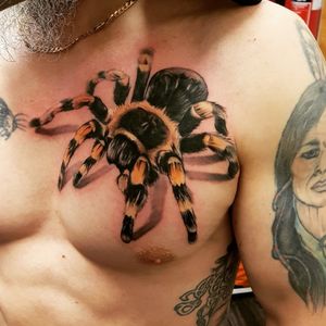 Loved doing this #tarantula #tarantulatattoo #spidertattoo #realistic #realistictattoo #portraittattoo #realism 