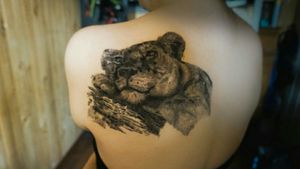 Tattoo de leona en grises estilo realismo 4 sesiones de 5 horas