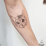Para quem estava curioso em ver a arte que fiz no repórter do Tv Fama, Rafael Pessina, aí está, arte exclusiva em cima da foto do seu gato Miguelito Muito obrigado Mano, pela conversa e risadas, e principalmente por confiar em mim a sua primeira tatuagem. . Orçamentos pelo Whatsapp: (11)9.9377-6985 . #ericskavinsktattoo #gato #tatuagem #reporter #tvfama #crossfit #tatuagem #gatinho #alphavilleearredores #alphaville #tattoo2me #easyglowpigments @easyglowpigments