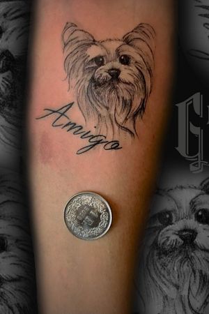 Done by Gorilla Tattoo #dog #yorkie # terrier #miniature #lettering 