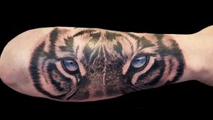 By David at sacred steel #tiger #tigereyes #animal #animaltattoo #bigcat #feline #nature #blackandgrey #animalface
