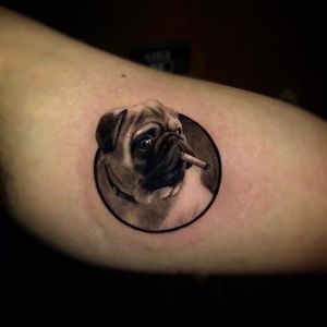 Hyperrealist tattoo by Ganga #Ganga #realism #hyperrealism #blackandgrey #upperarm #dog #pug