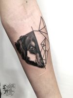 #dogtattoos #dog #dogy #realistic #blackandgrey #geometric #halfgeometric #animal 