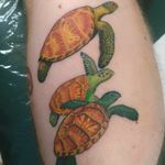 #tattoo #tattoos #turtle #turtles #seaturtle #seaturtletattoo #colorful #turtleshell #fusionink #green #orange #yellow #family #legtattoo #calftattoo #nhtattoo #greenlandnh #splatterpalettetattoo #colortattoo #colortattoos