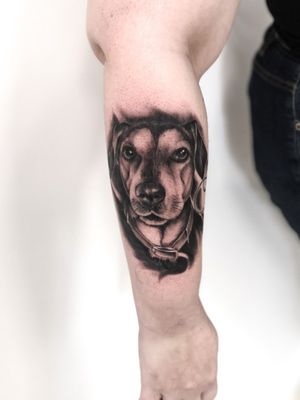 #tattoo #tattooed #inked #tattoos #blackandgreytattoo #tatuaje #tatuagem #tattooart #tattooartist #tattoolover #tattoolife #tattoolifestyle #opalenica #pracownia_tattoo #tattooedman #inknation #kwadron #intenzeink #intenze #Intenzetattooink #dog #dogportrait #doglovers #dogportrait 