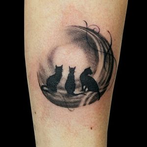 Three Cats on moon