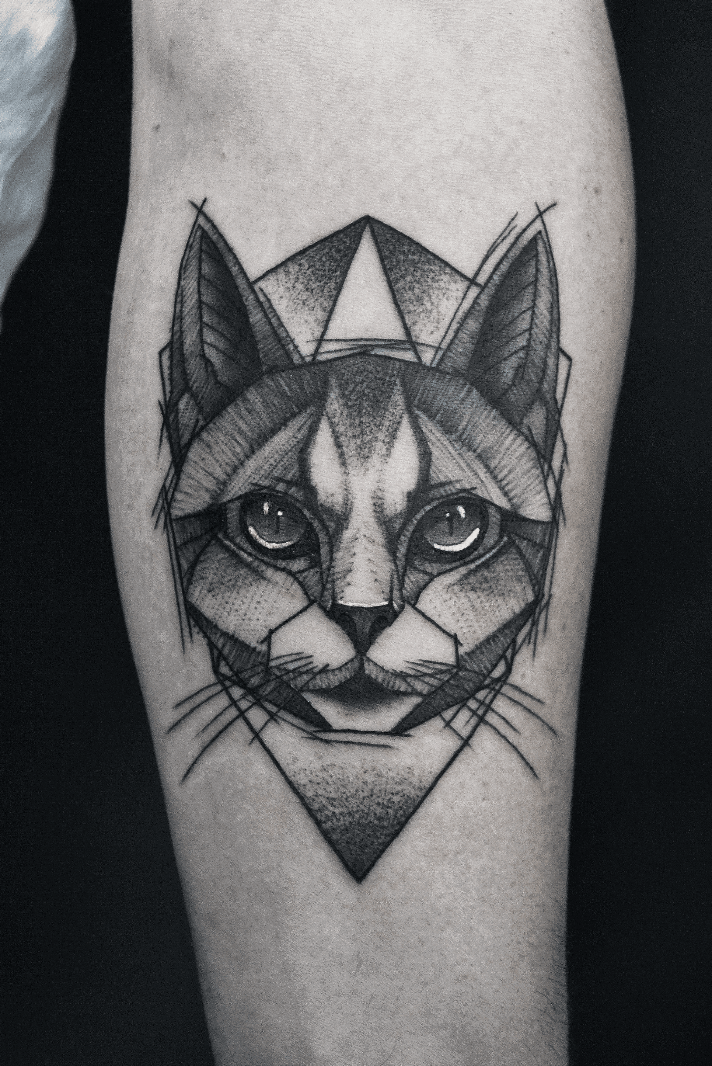 Sketch looking cat tattoo  Black cat tattoos Sketch style tattoos Cat  tattoo designs