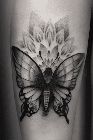 Butterfly #butterfly #schmetterling #mandala #mariposa #papillon #blackwork #dotwork 