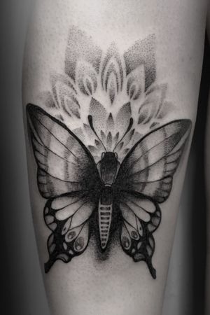 Schmetterling In Tattoos Search In 1 3m Tattoos Now Tattoodo