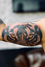 Hi guys look out at the big cat portrait that did today well done to my new client Steven Laird for being strong. Work done with #bishopmagi Bishop Rotary #silverbackink #tiger #tigertattoo #forearmtattoo #biceptattoo #realismtattoo #mantattoo #hulltattoo #hulltattooists #uktattoo #uktattooist