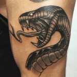 Snake #tattoo #blackwork #tatuajes #snake #serpientetattoo #tatu #snaketattoo #snakeblackwork #tattooanimal 