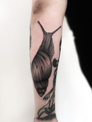 #tattoo #tattooed #inked #tattoos #blackandgreytattoo #tatuaje #tatuagem #tattooart #tattooartist #tattoolover #tattoolife #tattoolifestyle #opalenica #pracownia_tattoo #tattooedgirl #dotwork #dotworktattoo #blacktattoo #onlyblackart #inkedgirl #tattoogirl #snail #snailtattoo 