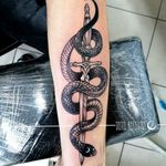 Snake and dagger/knife a classic tattoo Black and gray