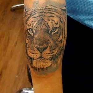 Realistic tiger done on my client...for appointments call 09819706577 #tigertattoo #forearmtattoo 