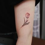 Tulip tattoo by Grey Un #GreyUn