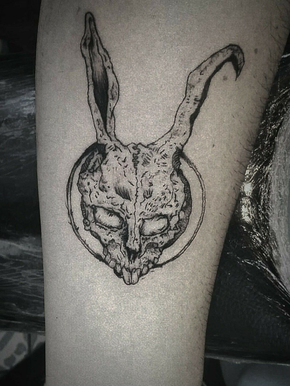 Tattoo uploaded by JenTheRipper  Rad rabbit tattoo by Oked Oked  blackwork surrealistic portrait rabbit skull  Tattoodo