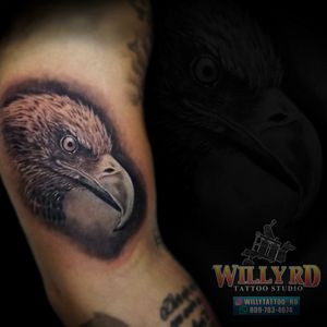 #eagletattoo #willyrd #willy_tattoo_studio_rd #willytattoo_rd 