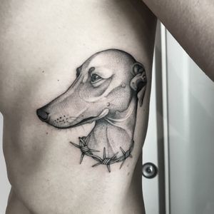 #totemica #tunguska #black #sighthound #greyhound #italiangreyhound #whippet #tattoo #originalsintattooshop #verona #italy #blackclaw #blacktattooart #tattoolifemagazine #tattoodo #blackworkers