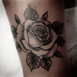 @dans.tattoo #neotraditionaltattoo #femaletattoo #finelinetattoo #neotraditionalflower #rosetatto 