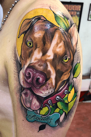 Tatuaje mascota , pitbull