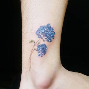 hydrangea tattoo