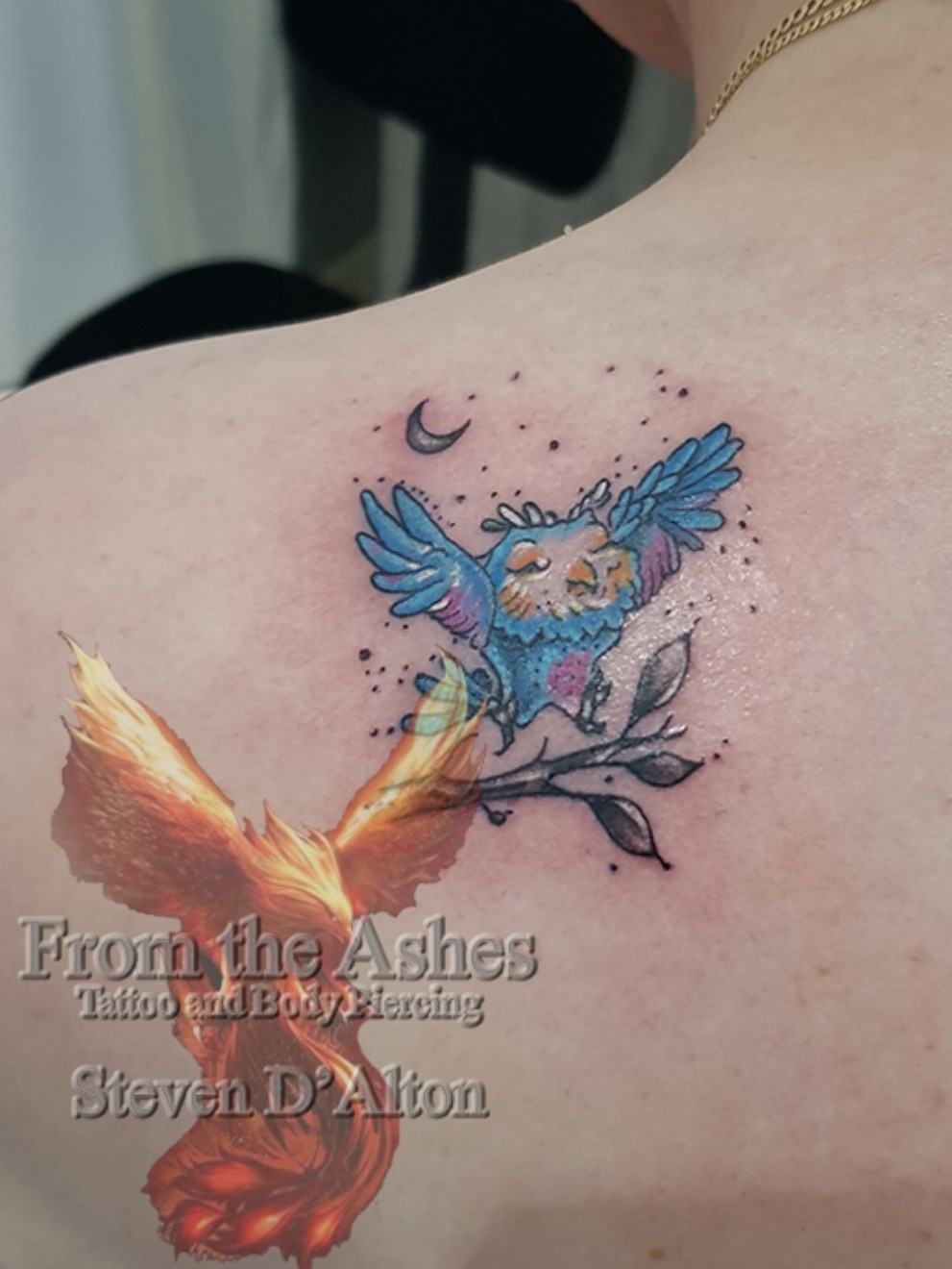 From the ashes clearance tattoo & body piercing