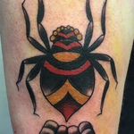 Traditional spider, thanks Tom! 