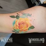 Had a blast tattooing an old friend this week! Here is the rose with her parents handwriting and the digital sketch I created for it. Thanks for looking #watercolortattooartist #watercolortattoo #colortattoo #kwawesome #wonderlandkitchener #mdwipeoutz #inkedcircustattooexpo www.wonderlandstudioskw.com