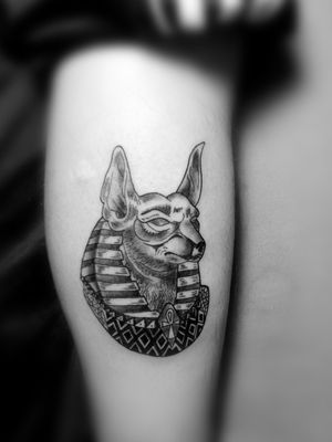 #anubis #tattoos #blackandgray #lines #art #jaser #tattoo #ink #mexico 🔥✒️😉🤙🏼🇲🇽