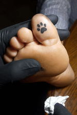 #Paw #Dog #Cat #Animal #Tattoo #AnimalTattoo #Antalya 