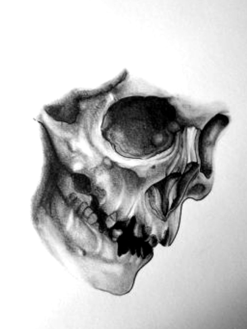 Skull Stencil Tattoo Design Hand Draw Stock Vector Royalty Free  1851917011  Shutterstock