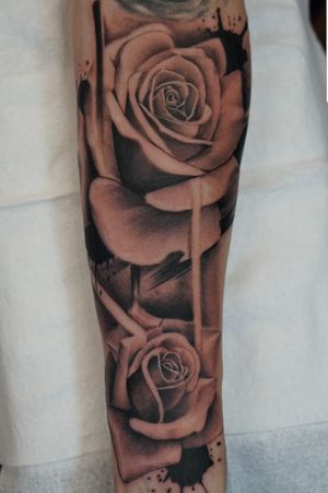 Some recent Rose's done by Jimbo
