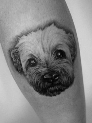 #dog #dogtattoo #blackandgrey #blackandgreytattoo #ink #realism #realismo #realistictattoo #realistictattoos #dogportrait #portrait