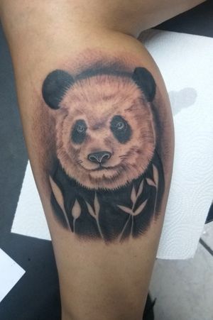 Panda#panda #pandabear #tattoo #blackandgray 