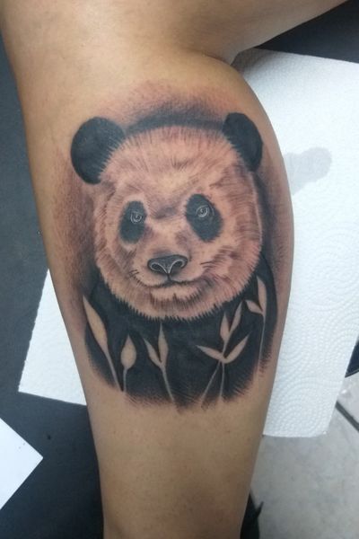 Panda #panda #pandabear #tattoo #blackandgray 