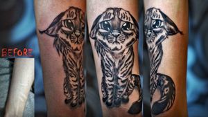Kitty cover up 