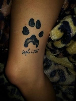 My old dog's paw print 