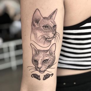 Tatuaje ilustrativo de Tina Poe #TinaPoe #MoonTattooStudio #AustinTexas #Austin #Texas #tattooartist #illustrative #linework #fineline #dotwork #sketch #upperarm #cat #petportrait #mus #mus