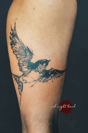 Swallow Bird tattoo