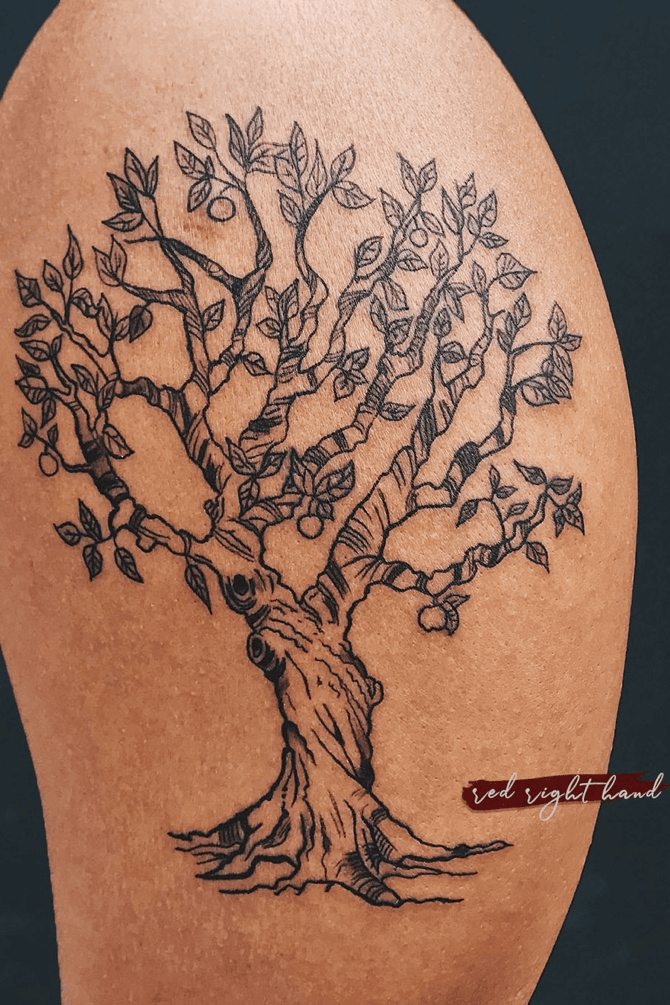 Tattoo uploaded by Artemisa Tattoo Art   tree fruittattoo pear apple  childhood  Tattoodo