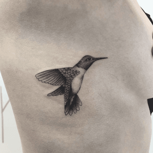 Little hummingbird 