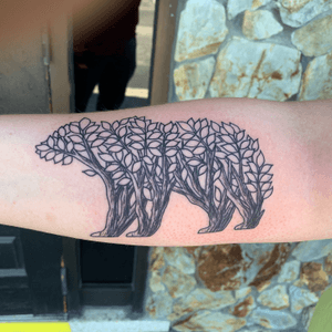 Bear Tree Silouette 