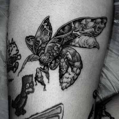 moth! #blackwork #blackworktattoo #tattooflash #tattoodesign #blackworkflash #moth #mothtattoo 