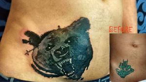 Bear cover up 