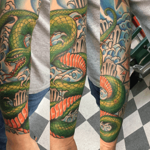 Snake half sleeve 