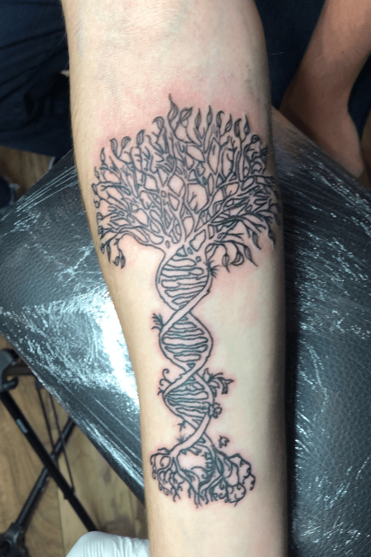 Tree of Life Birds DNA Tattoo  Dna tattoo Family tree tattoo Tree tattoo  designs