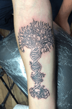 DNA Tree of Life