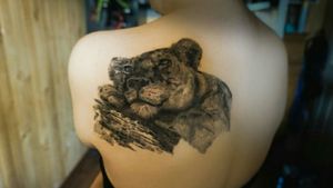 Tattoo de leona, estilo foto realismo, en colores grises.Tiempo total de trabajo, 43 horas. ...#maipu #blackandgreytattoos  #blackandgrey  #blackandgreytattoo #lionesstattoo #lioness #lion #realismo #realism 