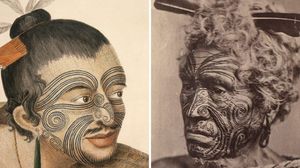 People of the Islands: Haida, Polynesian, Maori Tattoos and more. #Haida #Polynesian #Maori #Maoritattoos #tamoko #marquesantattoo #tribaltattooing #blackwork #tribal #neotribal #patterns #linework #geometric