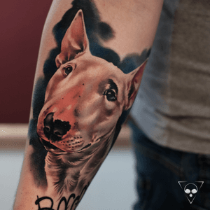 Cute portrait of a #minibully ☺️ high contrast in the background cause the fur of this pretty girl is really bright, btw her name is Buffy / Baccara  ;)! Für Terminanfragen / for appointments: info@litovkin.com #frankfurt #dogportrait #hundeportrait #portrait #frankfurttattoo #germanytattoo #unterarmtattoo #colorportrait 